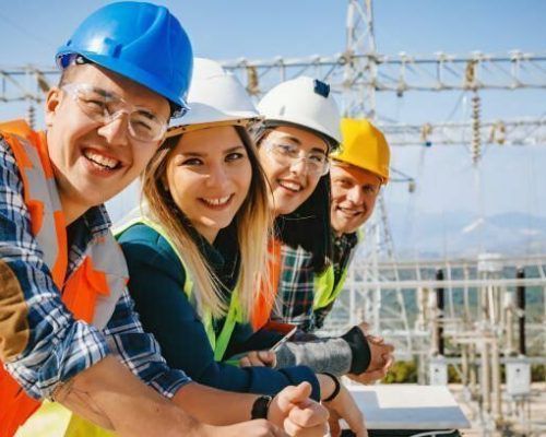 Group of young men and women supervisor business people, electrician, engineer and technician workers working and look at camera posing in front of electrical components and towers of high tension of an electricity power generation station field in a sunny day rural landscape. xxxl size